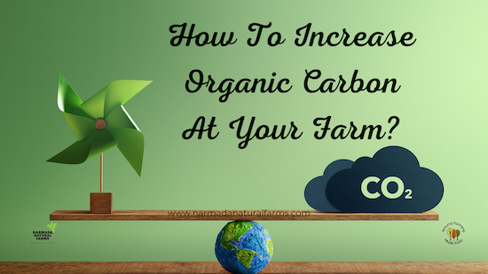 Featured Post Image - How To Increase Organic Carbon At Your Farm?