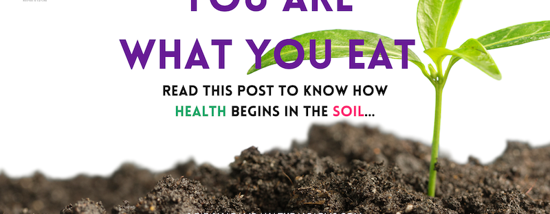 Featured Post Image - The What, Why, and How of Soil Health at Your Farm