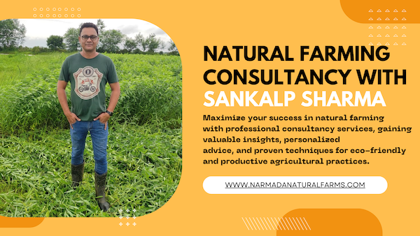 Featured Post Image - Natural Farming Consultancy